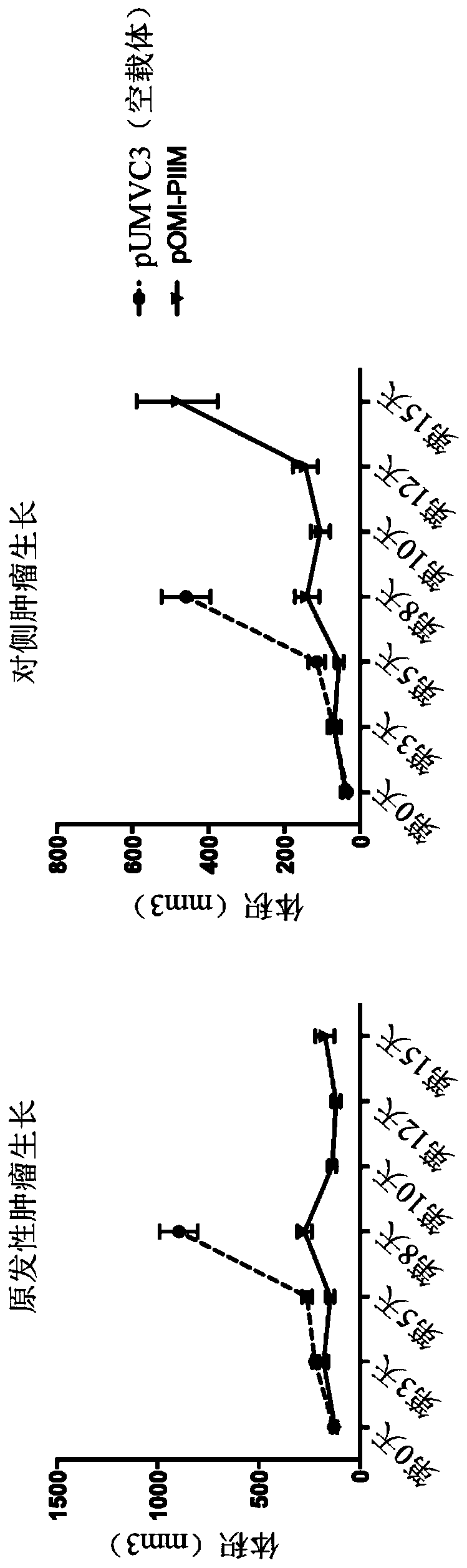 Multigene construct for immune-modulatory protein expression and methods of use