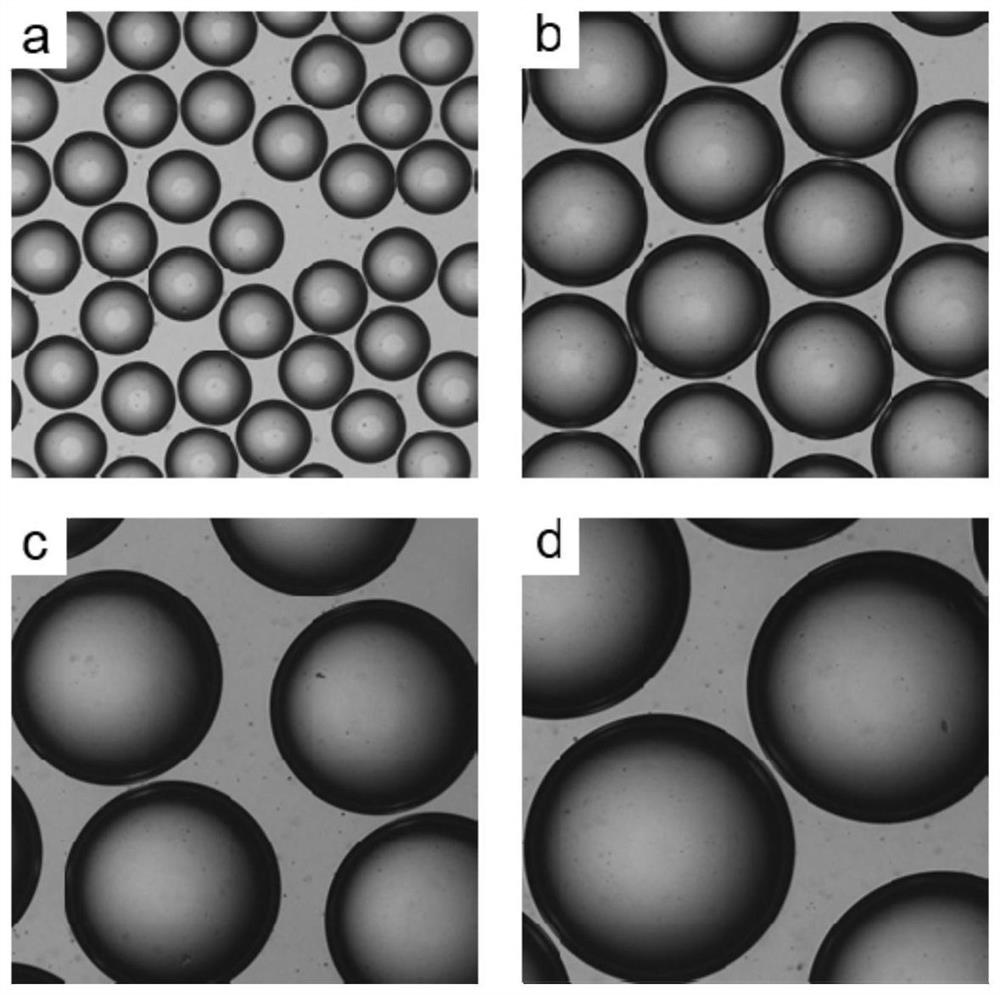 Monodisperse gelatin chitosan composite embolism microsphere with controllable degradation performance and elasticity and preparation method of monodisperse gelatin chitosan composite embolism microsphere
