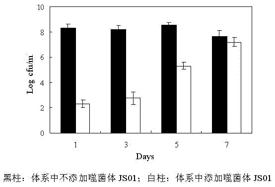 Phage for staphylococcus aureus and application thereof