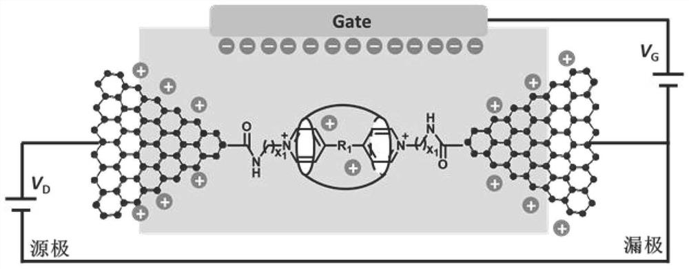 Single-molecule field effect transistor based on supramolecules and preparation method thereof