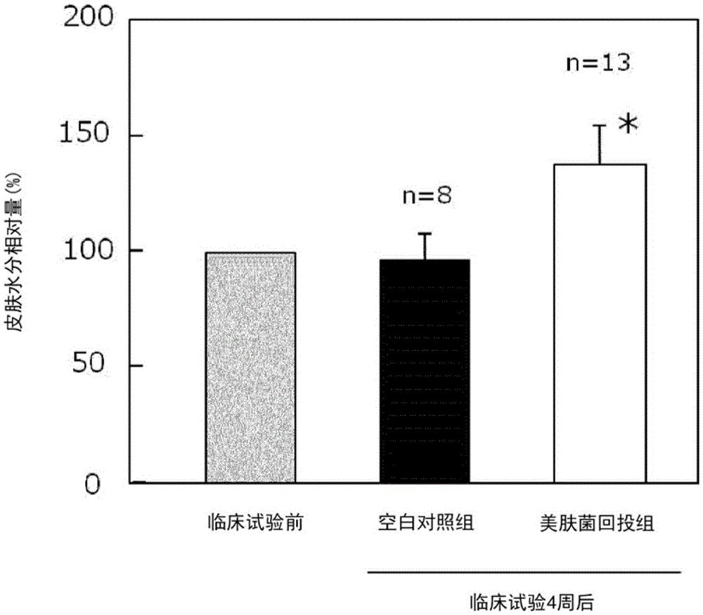 Cosmetic method, composition for skin care, bacterial cells and dried bacterial cells