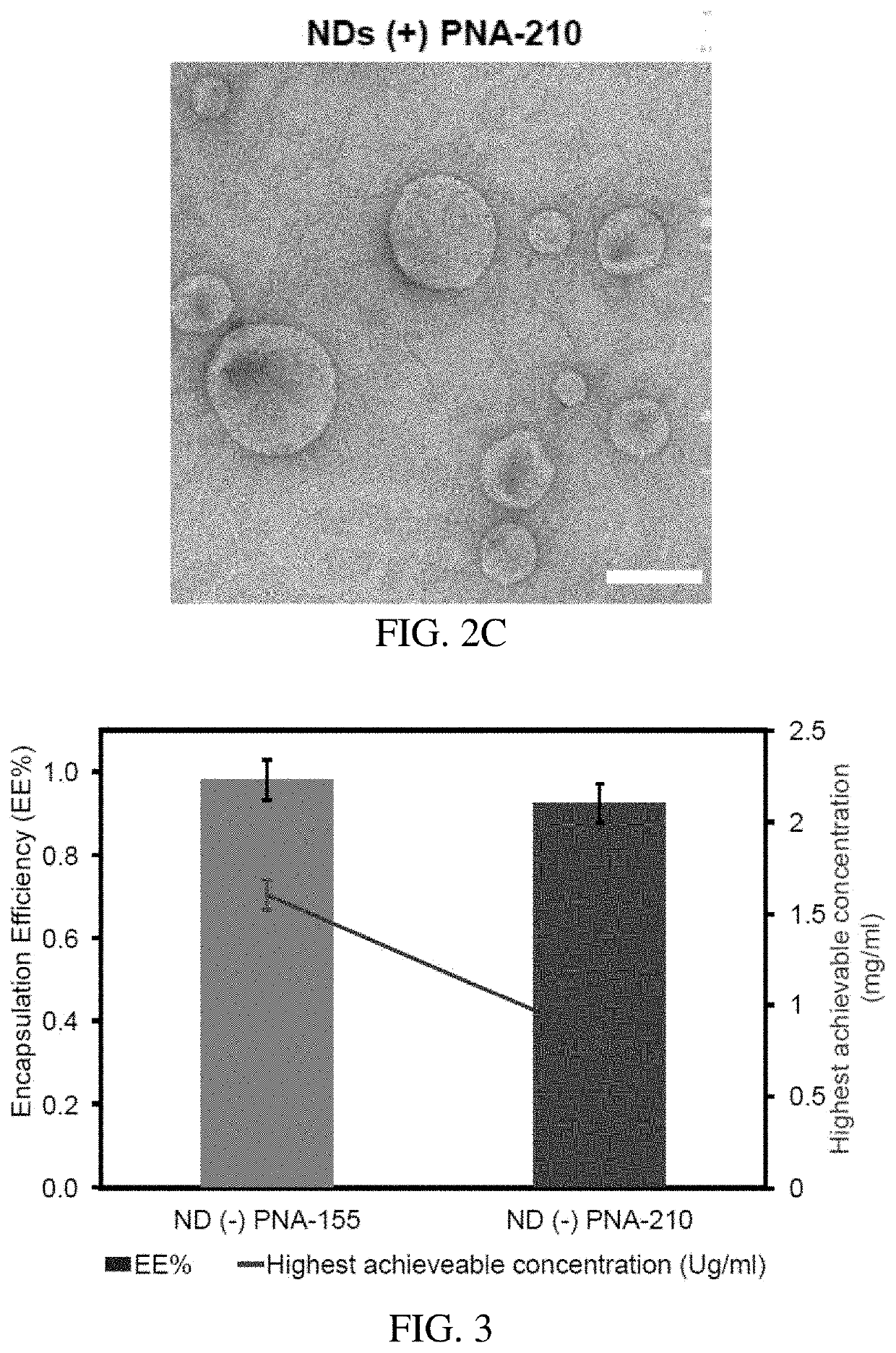 Discoidal Nano Universal Platform for Efficient Delivery of PNAs