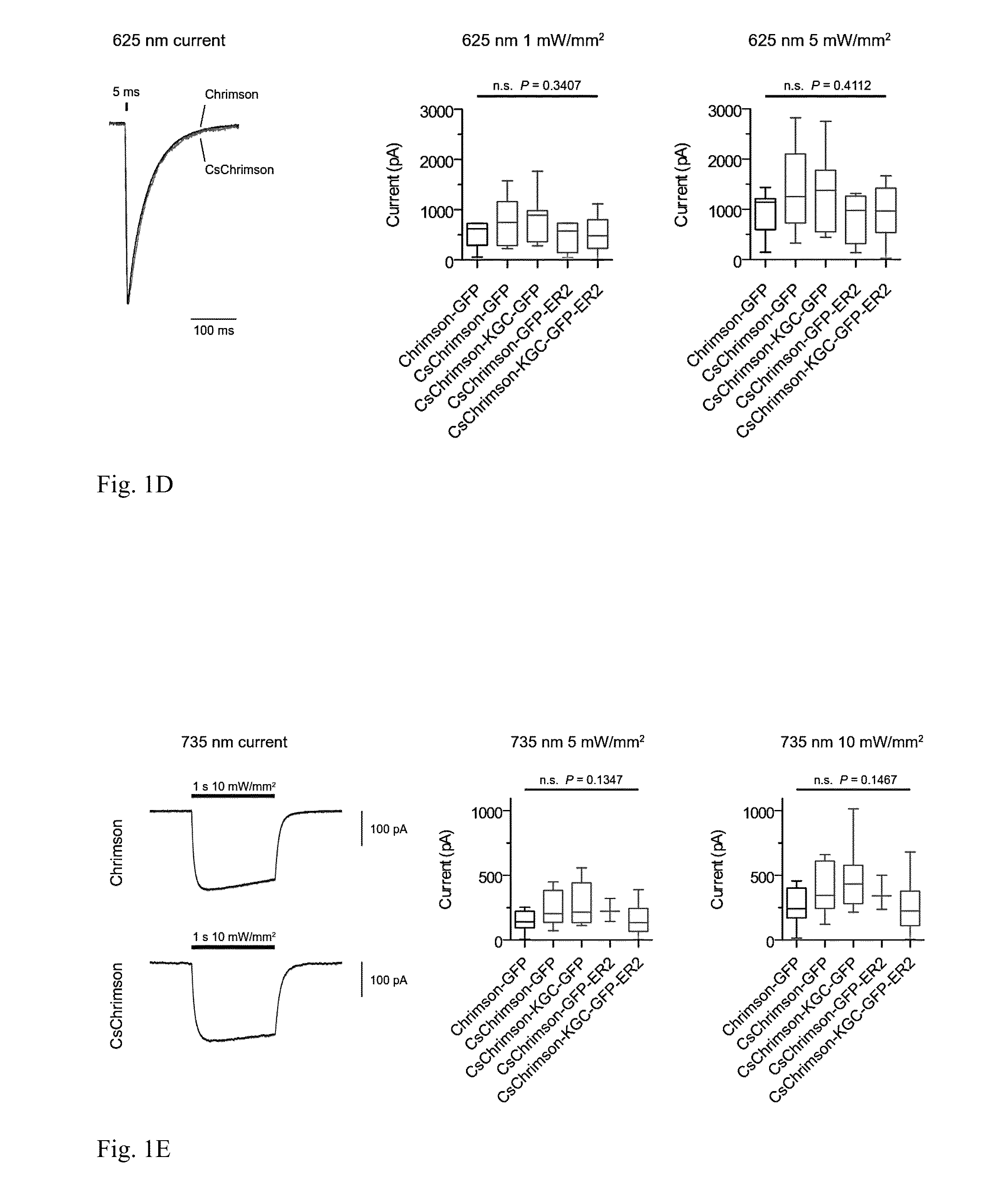 Channelrhodopsin variants and uses thereof