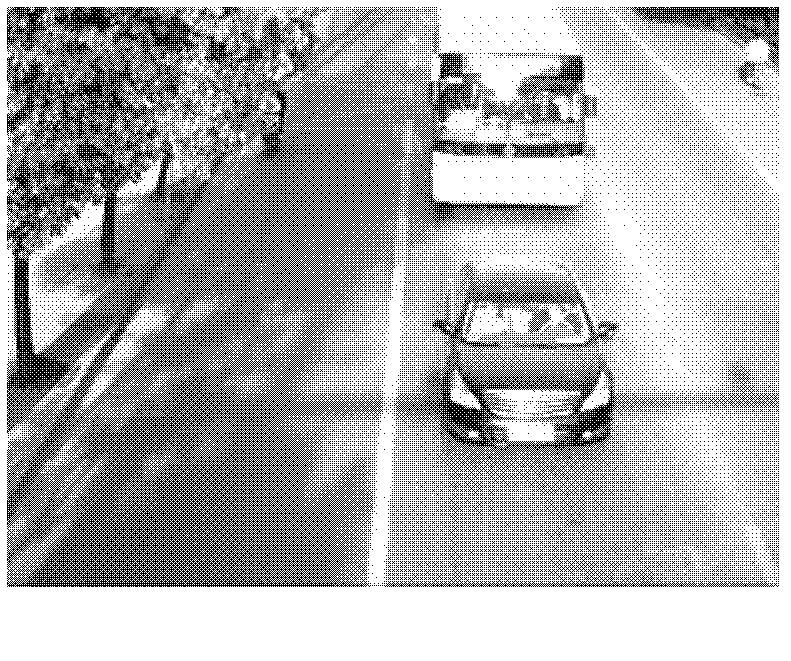 Automatic control method and device of camera head