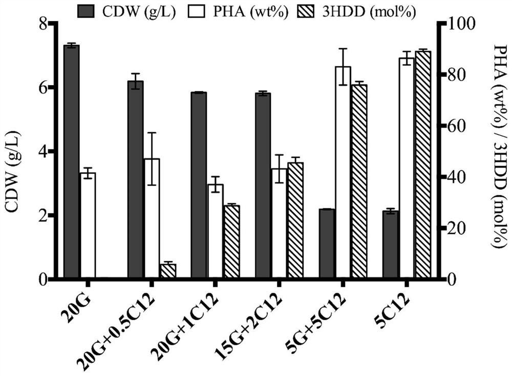 A method for microbial production of short, medium and long chain polyhydroxy fatty acid copolymers