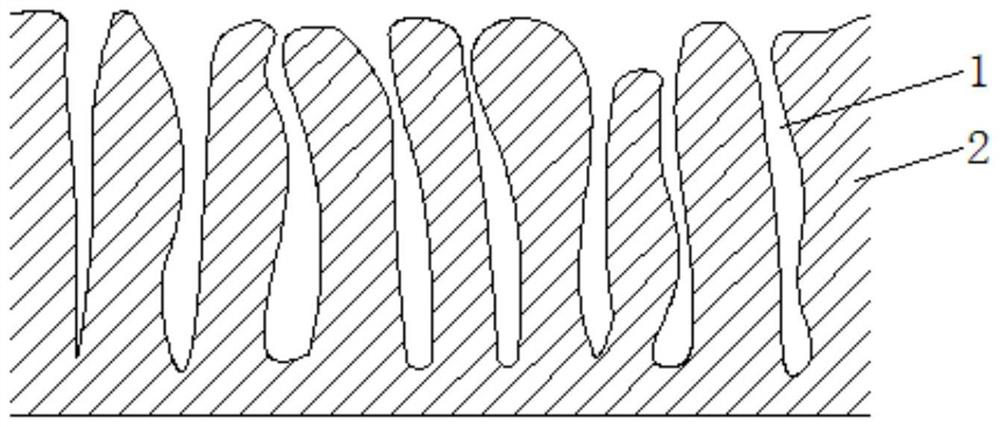 Novel ecological membrane structure