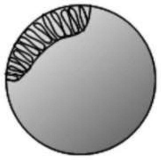 Novel ecological membrane structure