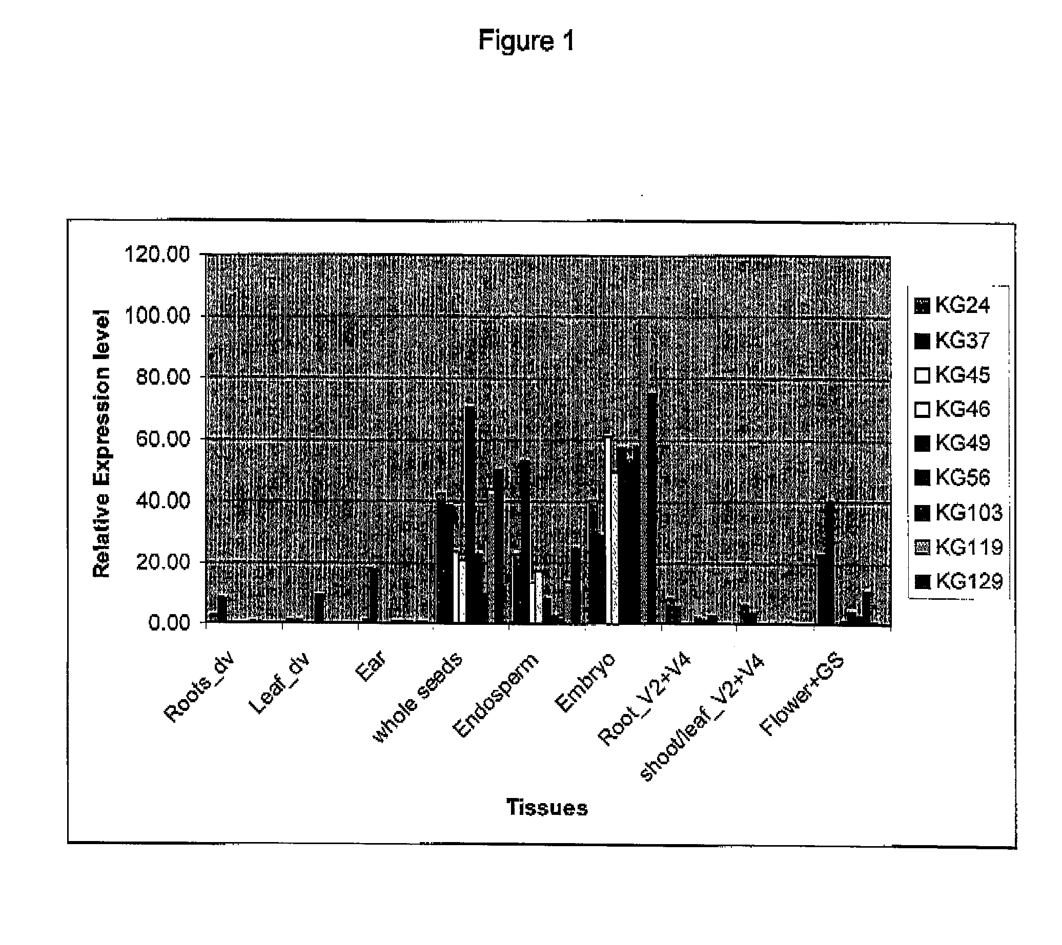 Expression Cassettes for Embryo-Specific Expression in Plants