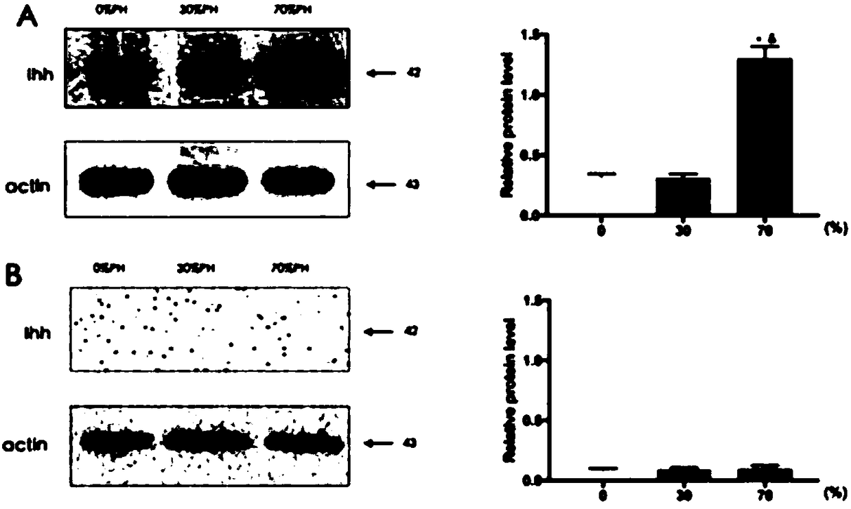 Method for promoting growth of mice liver implanted tumor after partial hepatectomy