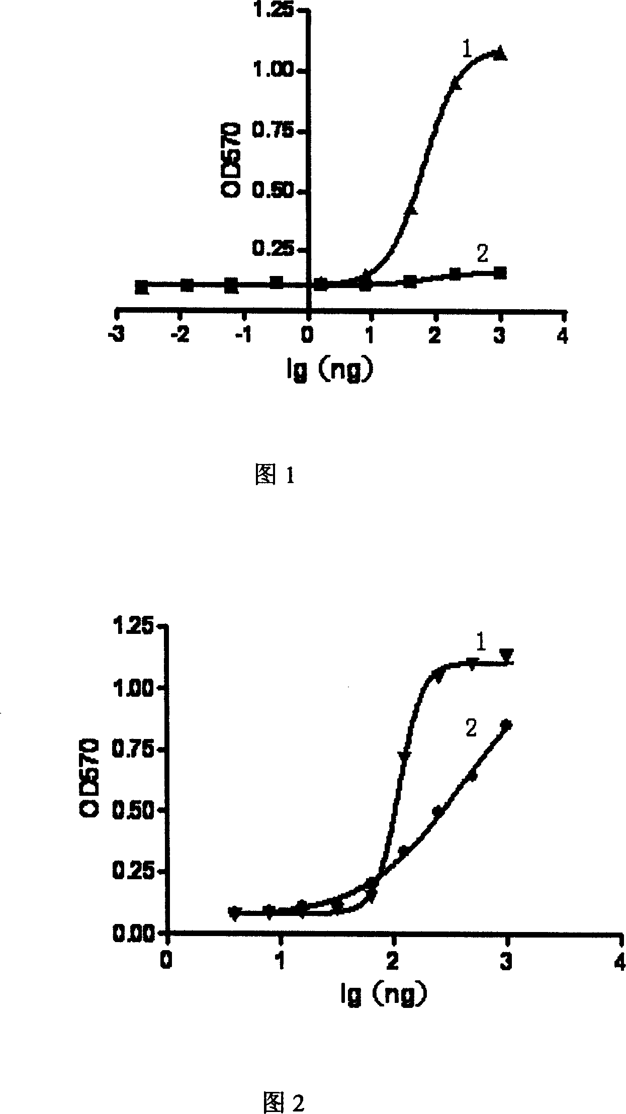 Soluble TNF acceptor mutant