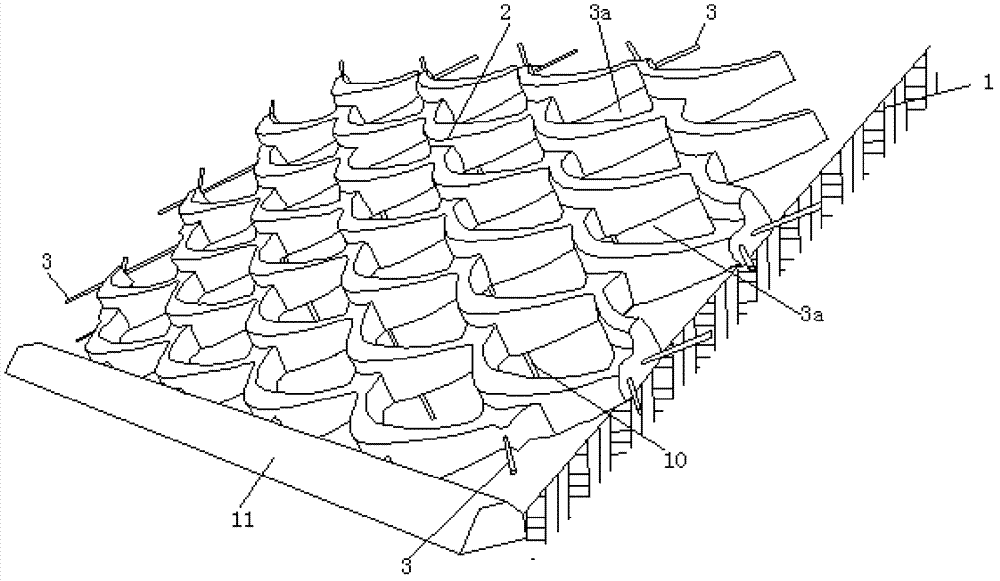 Cast-in-place ecological slope protection and construction method thereof