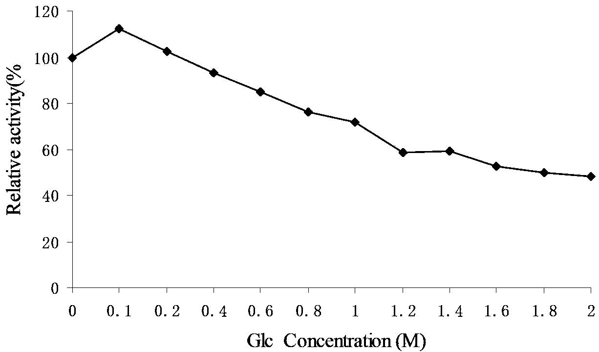 High-sugar-tolerant beta-glucosaccharase Bg14, and expressed gene and application thereof