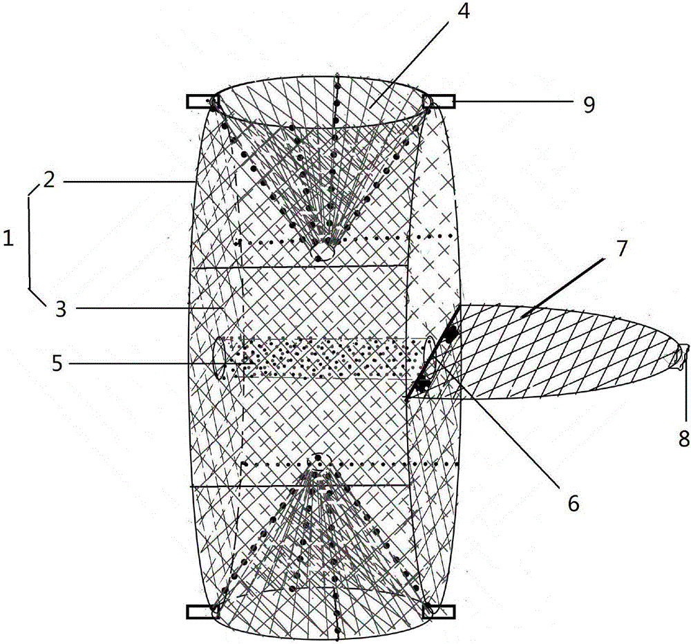 Universal type shrimp cage structure for catching and transporting