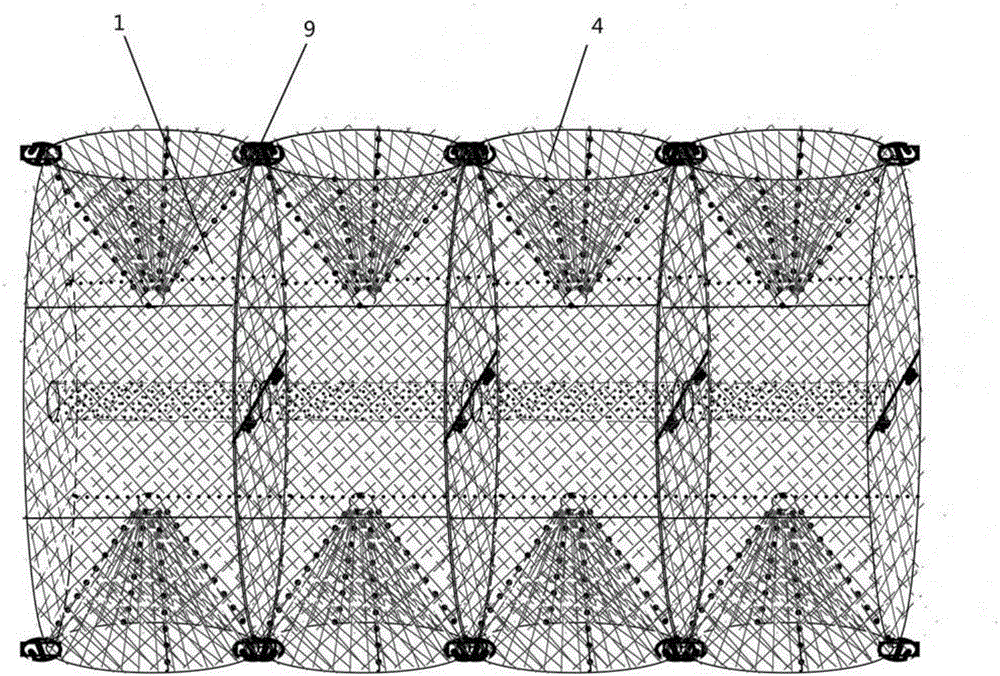 Universal type shrimp cage structure for catching and transporting