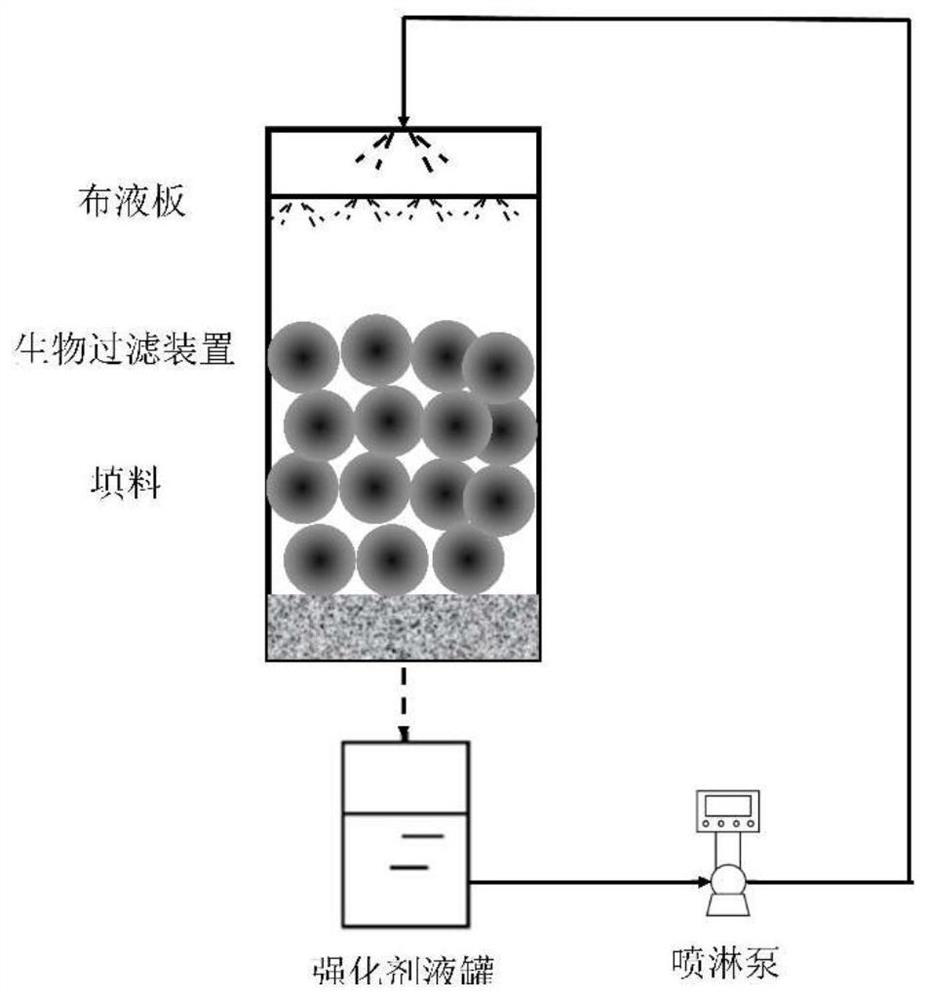 Reinforcing agent for reinforcing biofilm formation of waste gas biofiltration device and application thereof