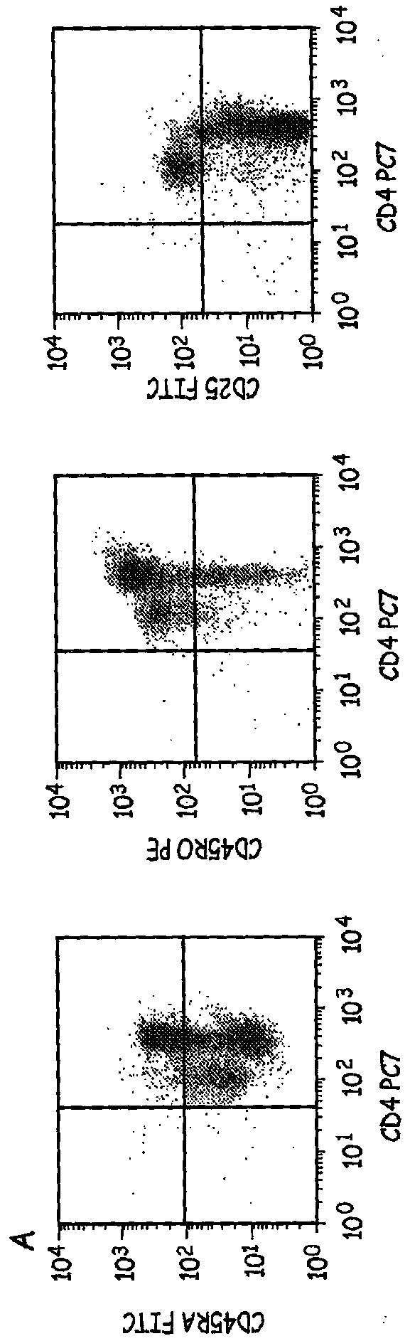 Cells expressing TH1 characteristics and cytolytic properties