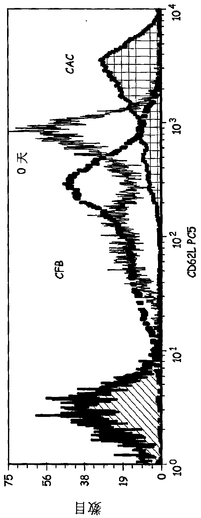 Cells expressing TH1 characteristics and cytolytic properties