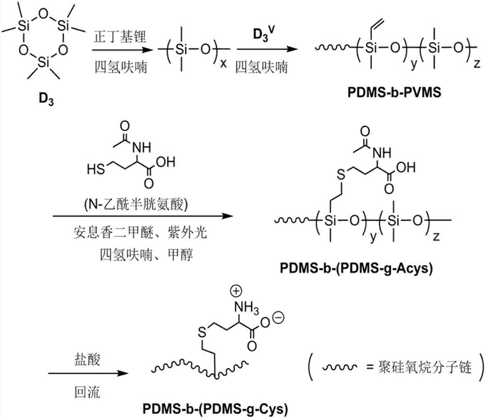 Polysiloxane block copolymer of grafted cysteine and preparation method and application of polysiloxane block copolymer