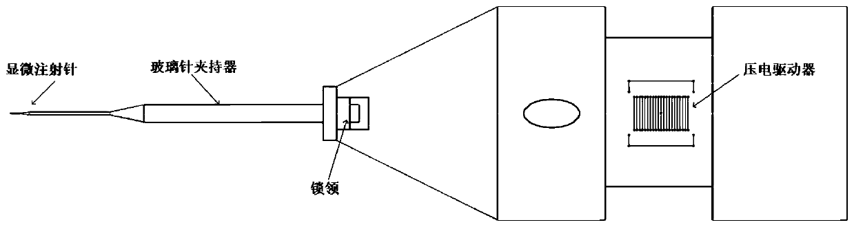 Modularly designed piezoelectric ultrasonic microinjection device adaptive to needles of multiple types