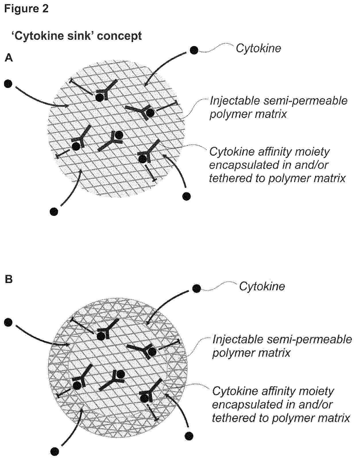 Porous affinity hydrogel particles for reducing the bioavailability of selected biological molecules
