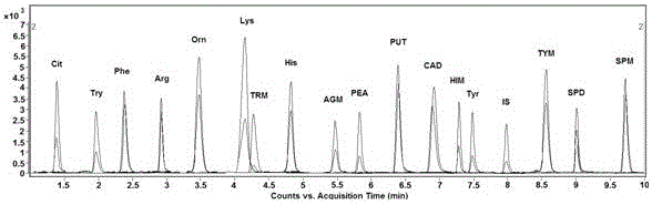 Analysis method for simultaneous detection of amino acids and biogenic amines in foods