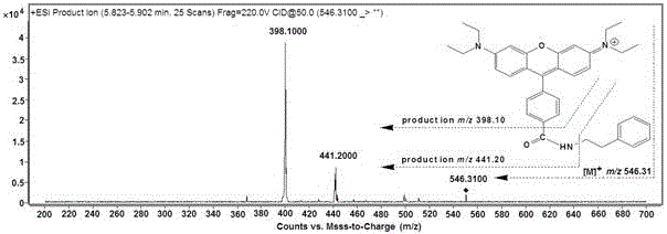 Analysis method for simultaneous detection of amino acids and biogenic amines in foods