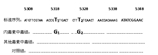 Method for detecting endotoxin poisoning of livestock by mutation of host liver mitochondrial gene