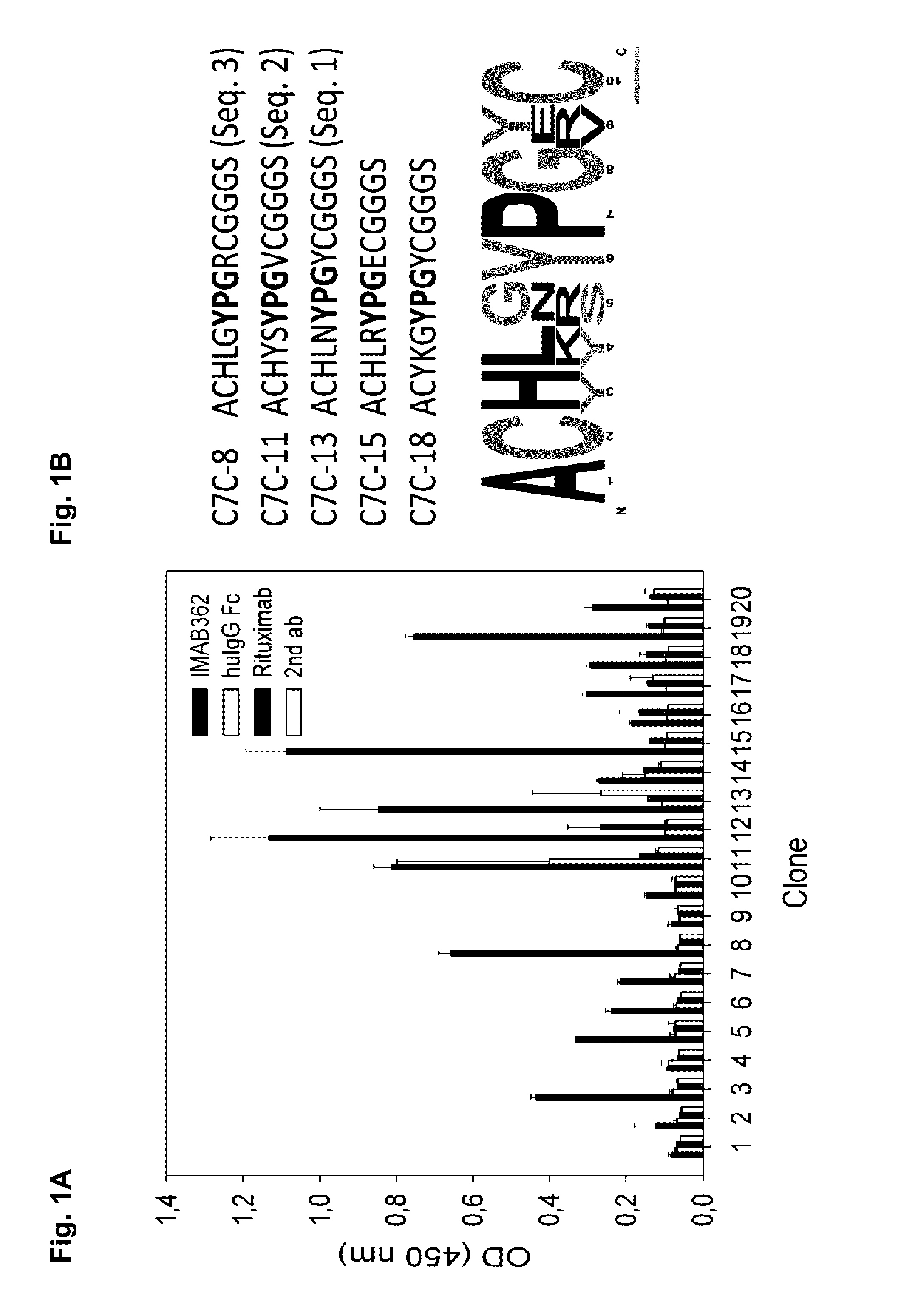 Peptide mimotopes of claudin 18.2 and uses thereof