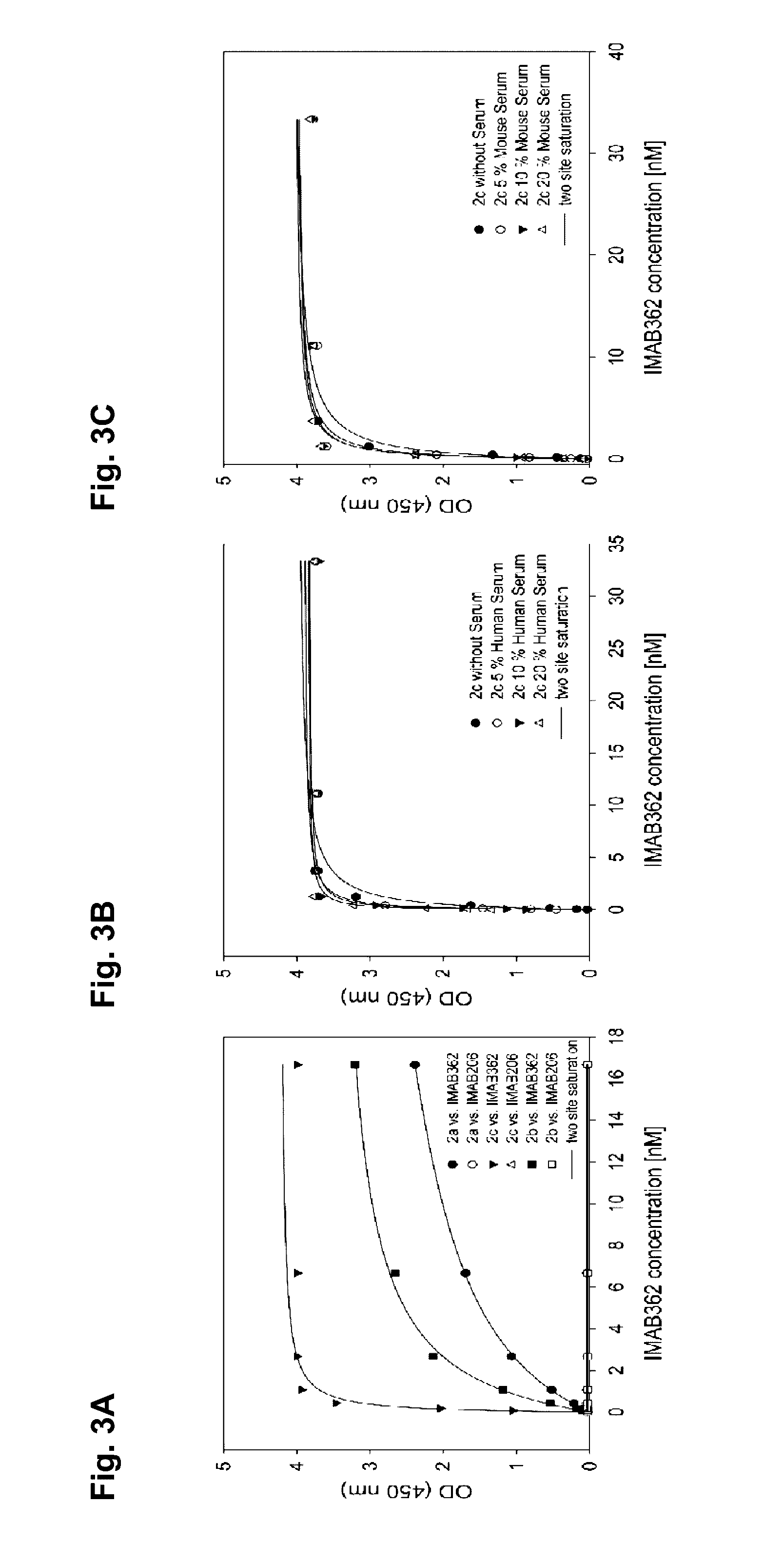 Peptide mimotopes of claudin 18.2 and uses thereof