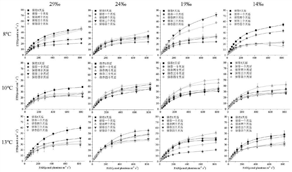 In-vitro preservation method for sargassum fusiforme rhizoid germplasm resources