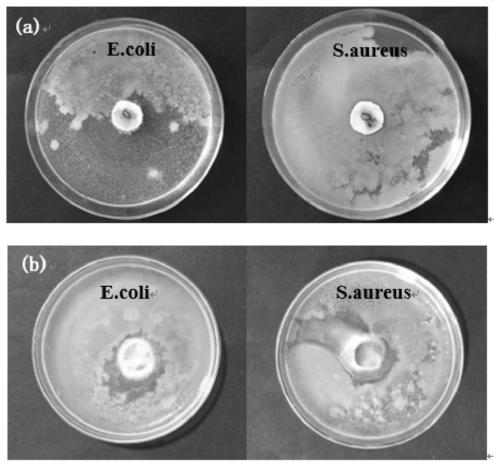 Preparation method of polyester fabric with water-and-oil repellent and anti-bacterial functions