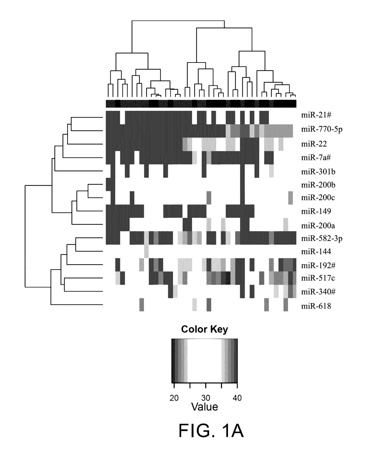 Circulating miRNAs as early detection marker and prognostic marker