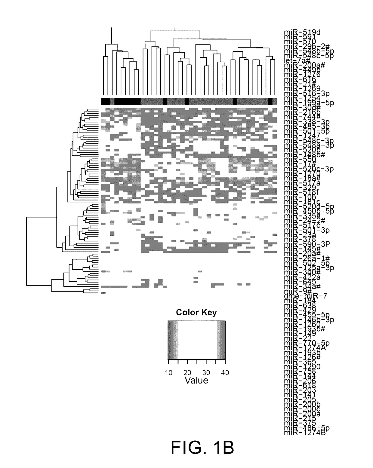 Circulating miRNAs as early detection marker and prognostic marker