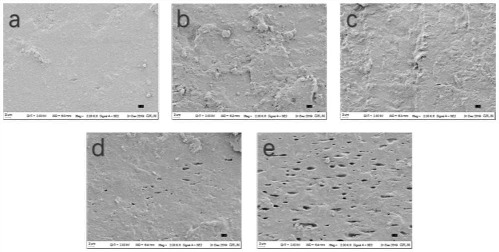 Preparation method of PVA/tapioca starch/LAE active composite film, and application of PVA/tapioca starch/LAE active composite film in antibacterial aspect of food packaging