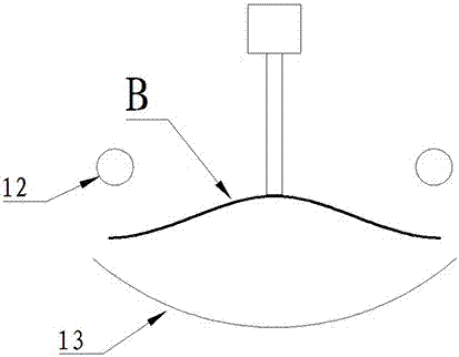 Spline roller type huperzine-A leaching device with feeder and dryer