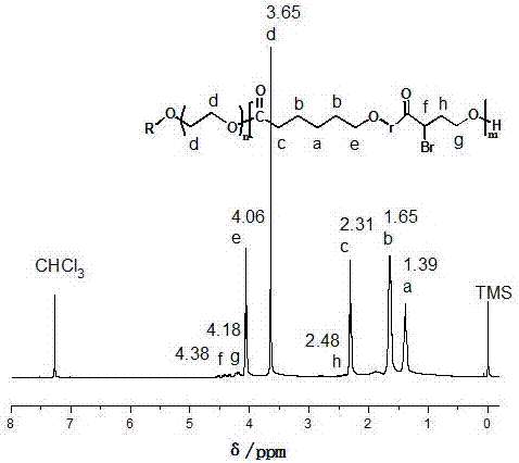 Synthesis method of amphiphilic polyethylene glycol-polycyclic lactone copolymer containing multiple bromine functional groups and preparation method of thermosensitive polymer