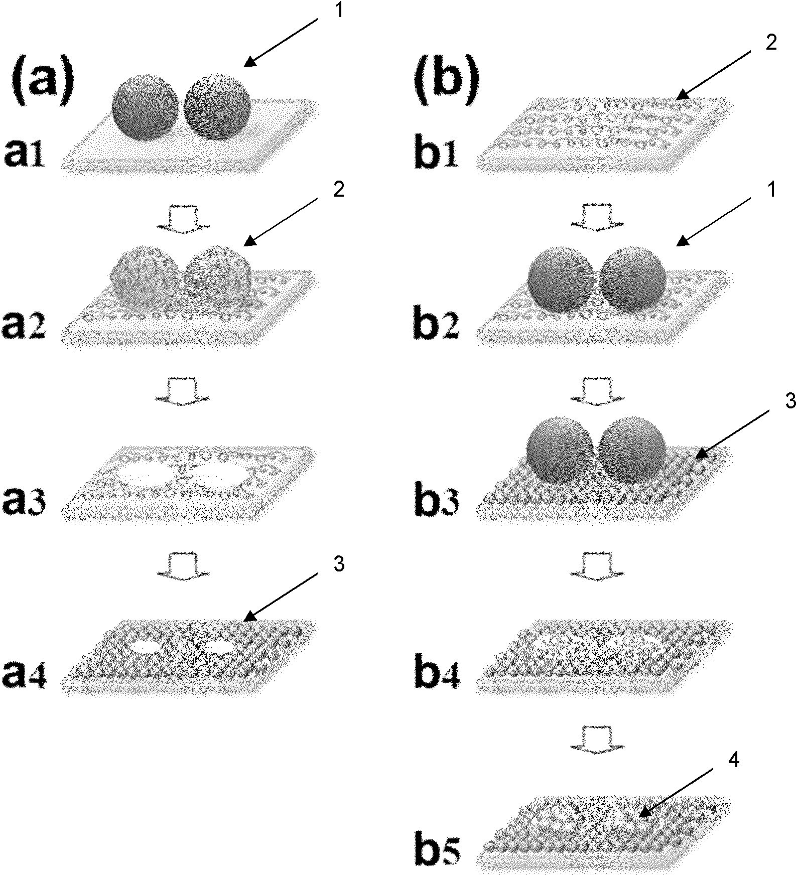 Method for self-assembling nanoparticles by means of patterned polyelectrolyte membrane