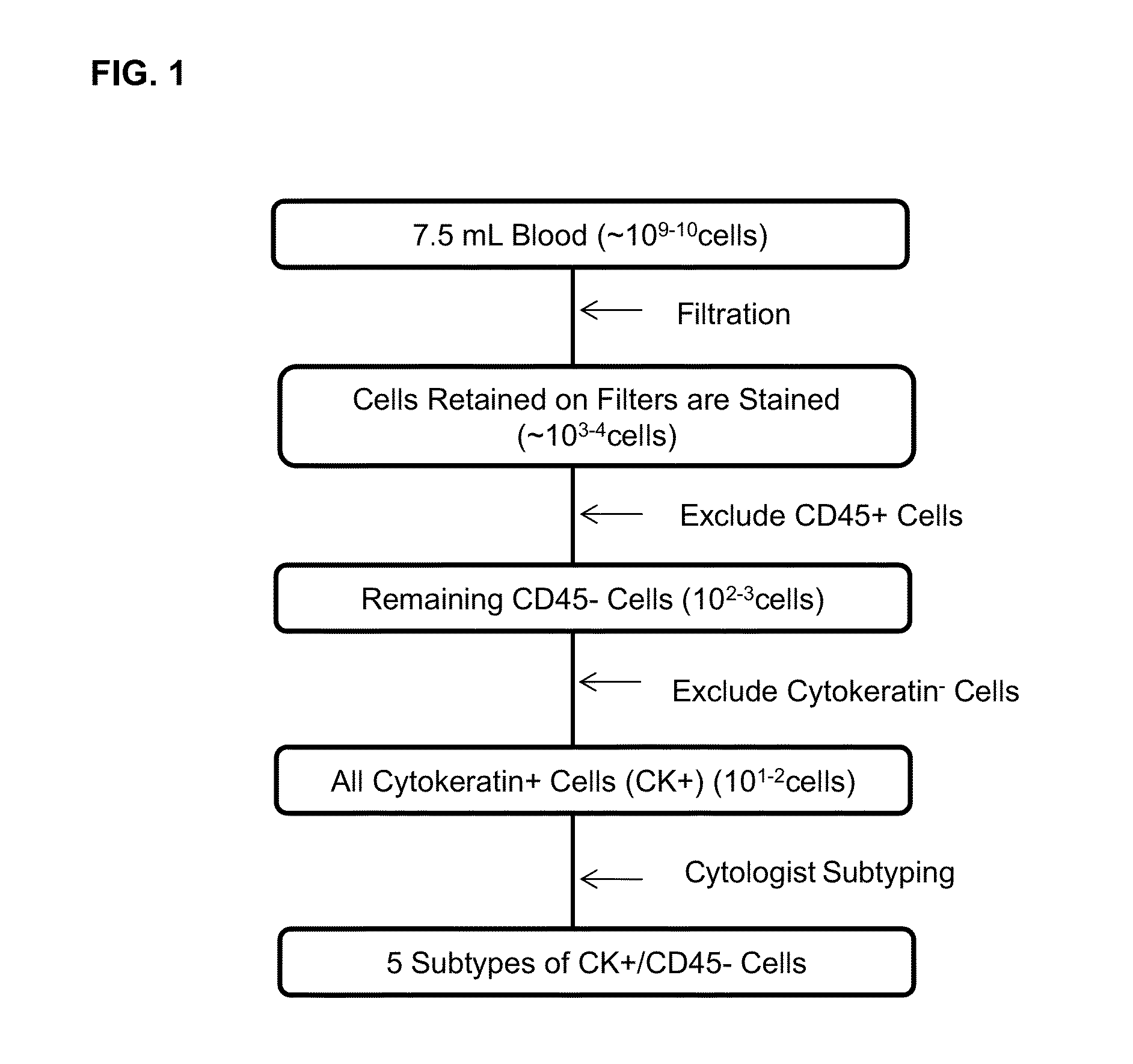 Methods for predicting overall survival of cancer patients based on numbers of circulating tumor cells