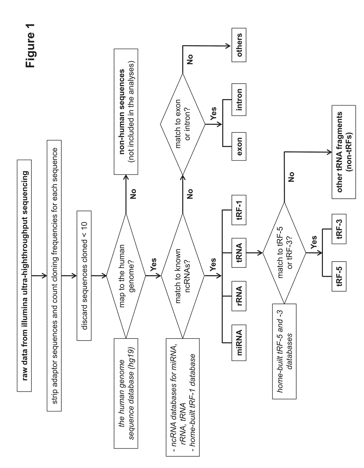 Compounds and methods for altering RSV replication rate