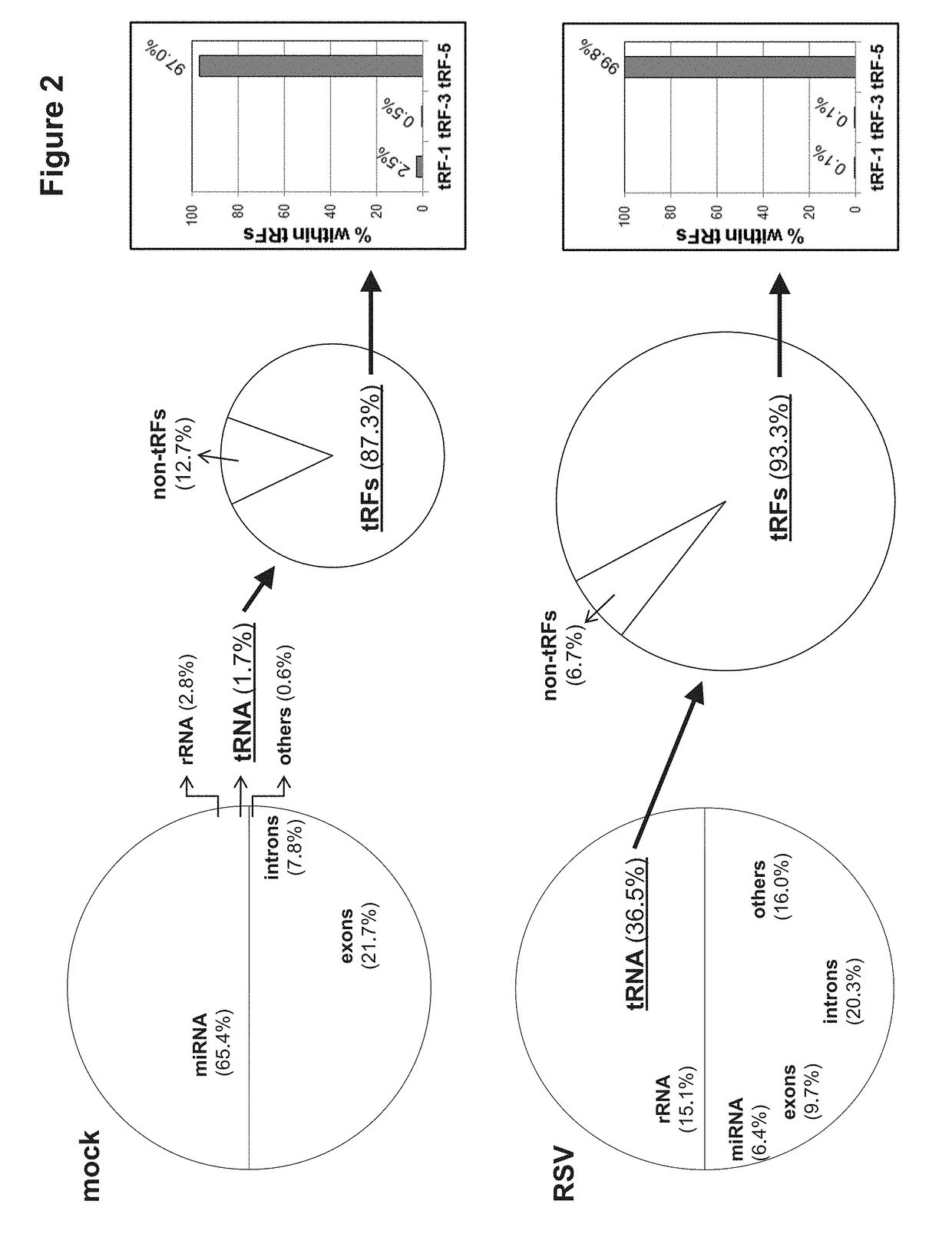 Compounds and methods for altering RSV replication rate