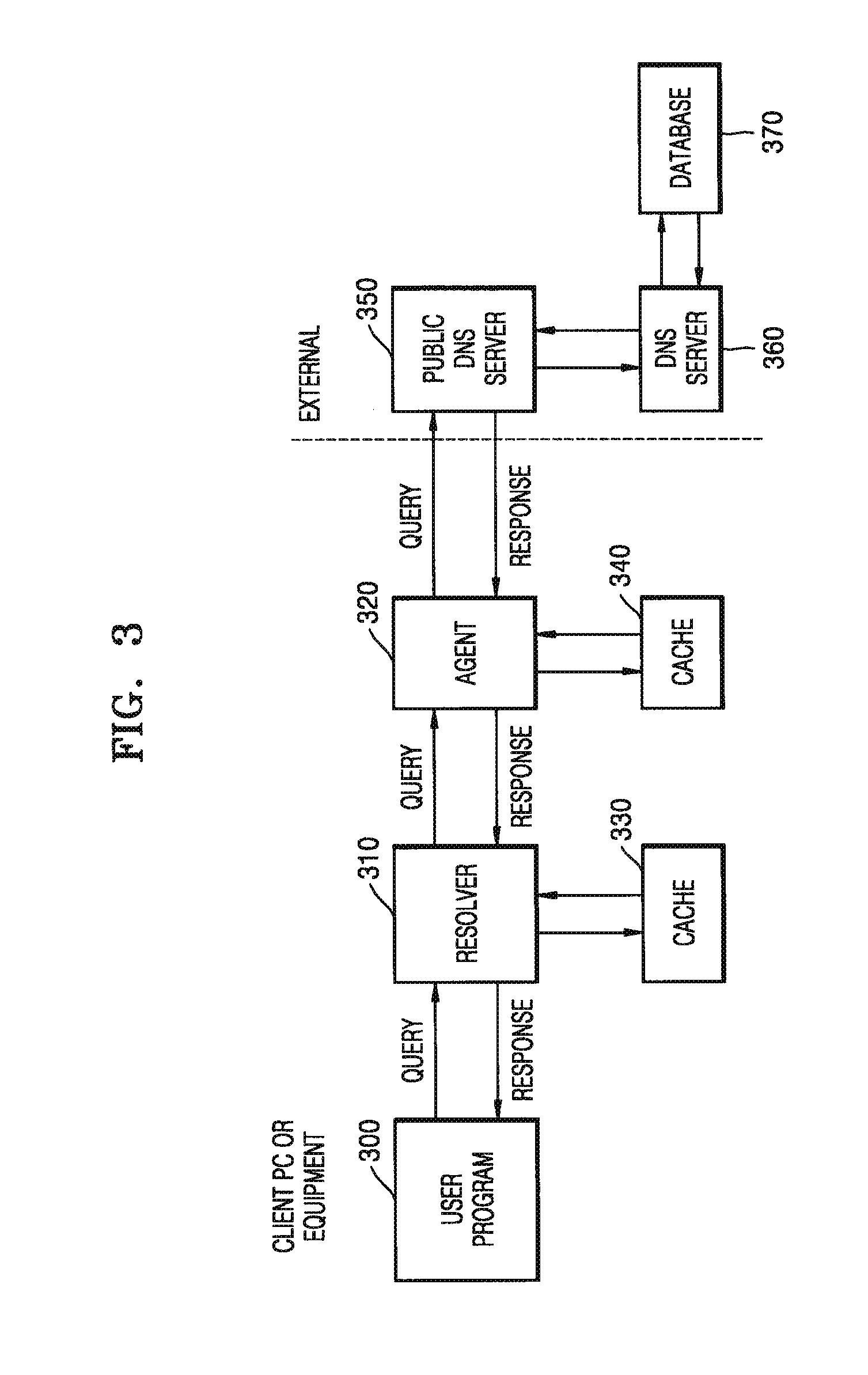 Domain name system (DNS) and domain name service method based on user information