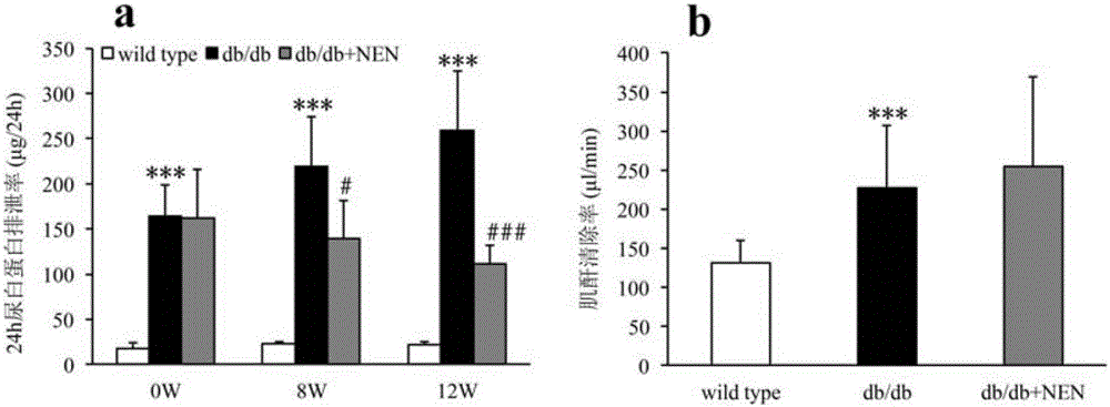 Application of niclosamide ethanolamine salt in prevention and treating of type 2 diabetes nephropathy