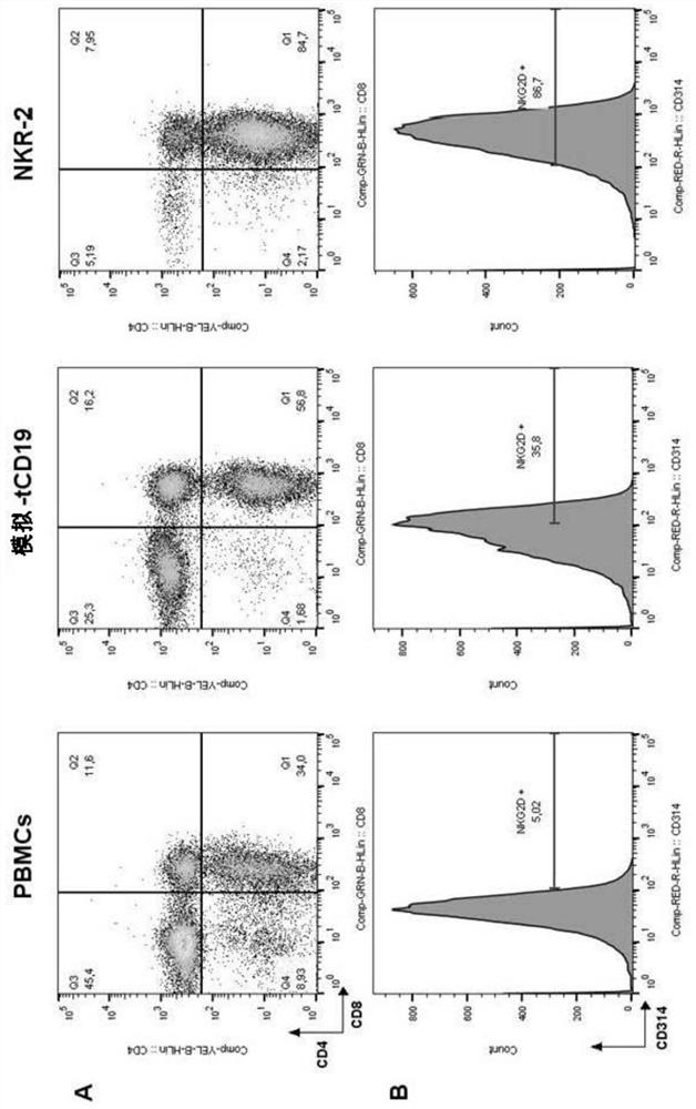 Reducing fratricide of immune cells expressing nkg2d-based receptors