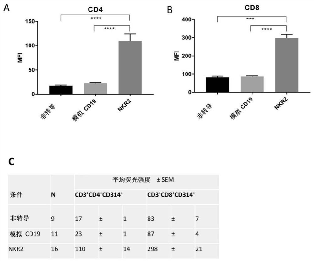 Reducing fratricide of immune cells expressing nkg2d-based receptors