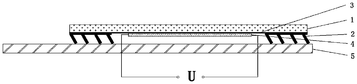 A biomimetic structure and manufacturing process of electrically actuated inchworm based on liquid crystal elastic polymer