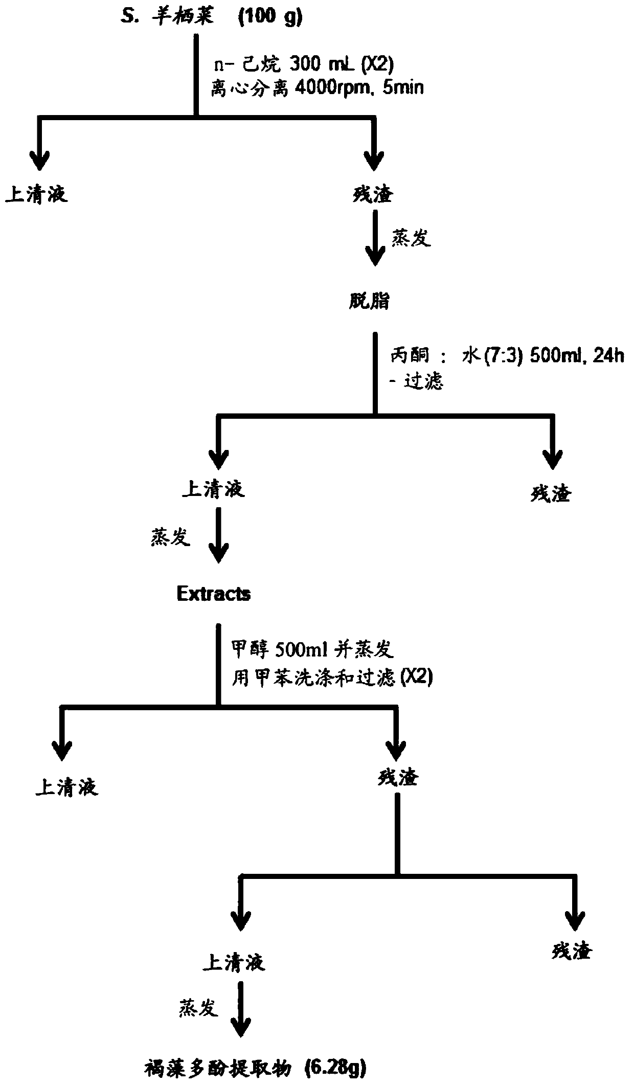 Composition for UV protection containing hijiki extract as an active ingredient