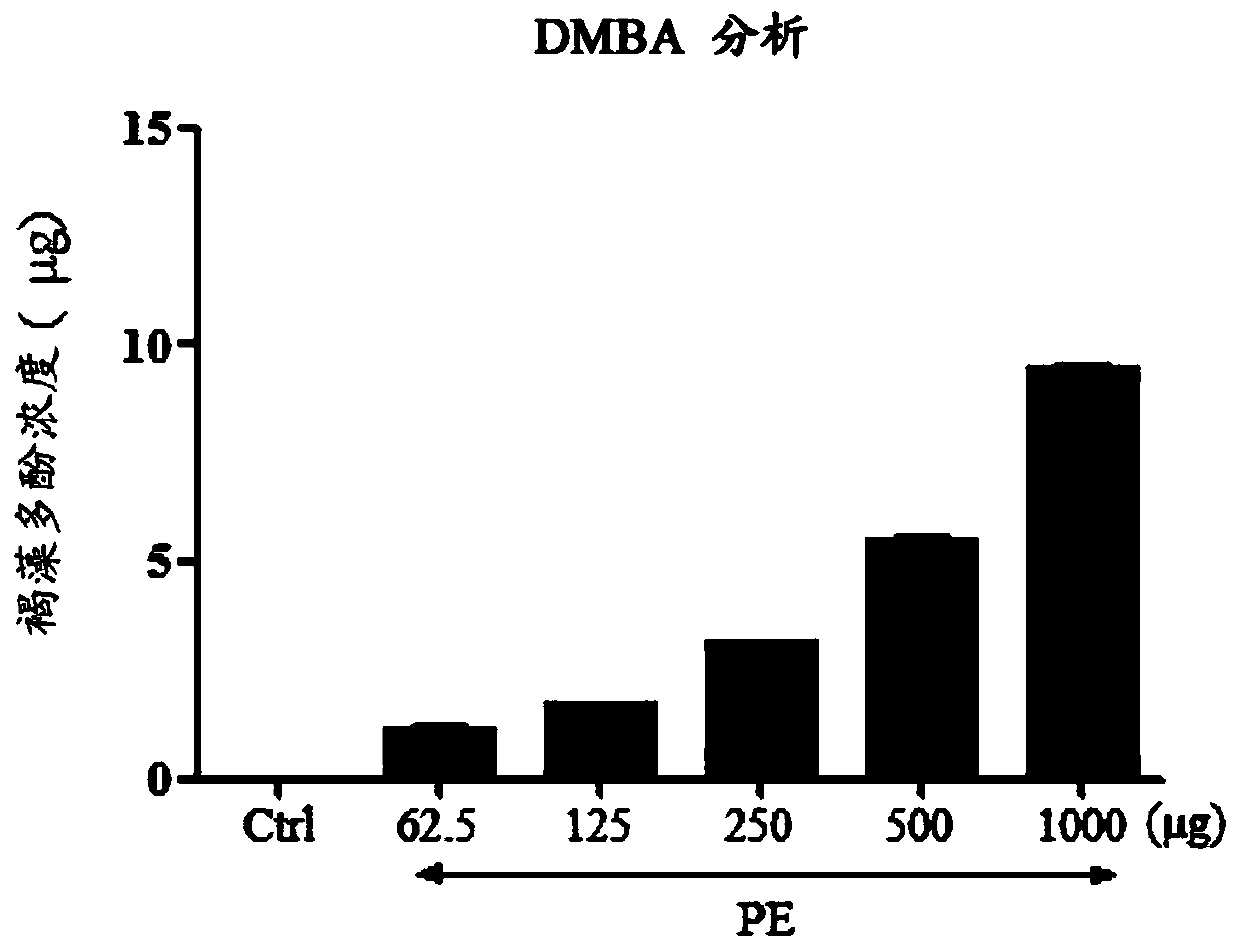 Composition for UV protection containing hijiki extract as an active ingredient