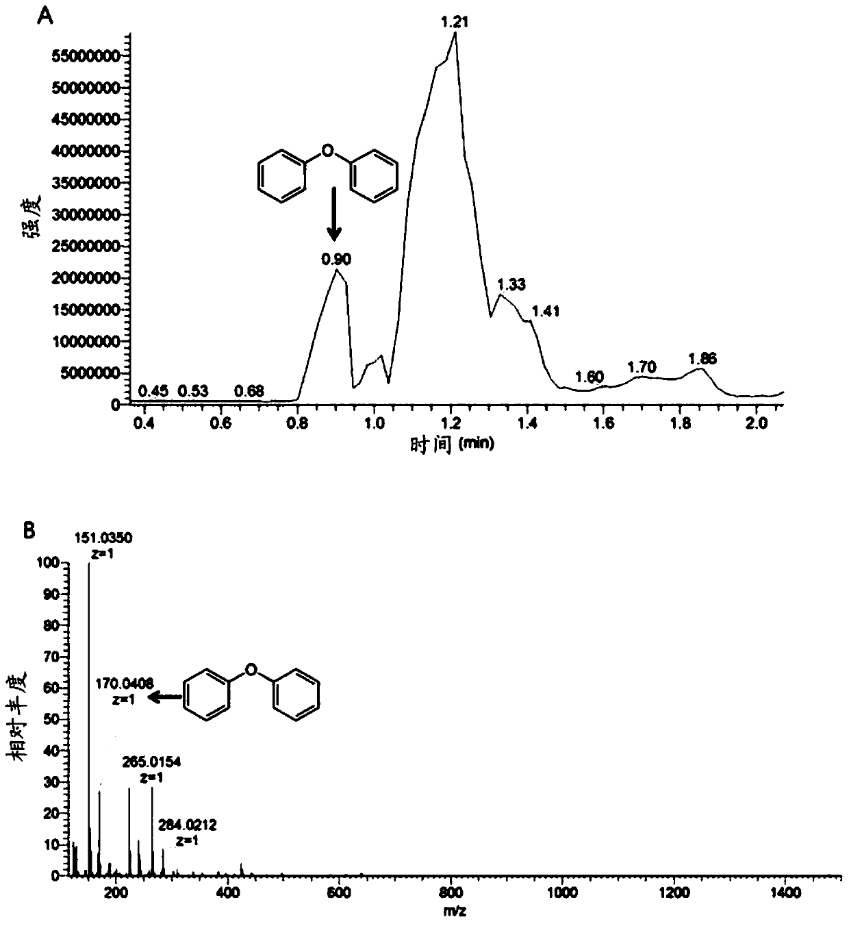 Composition for UV protection containing hijiki extract as an active ingredient