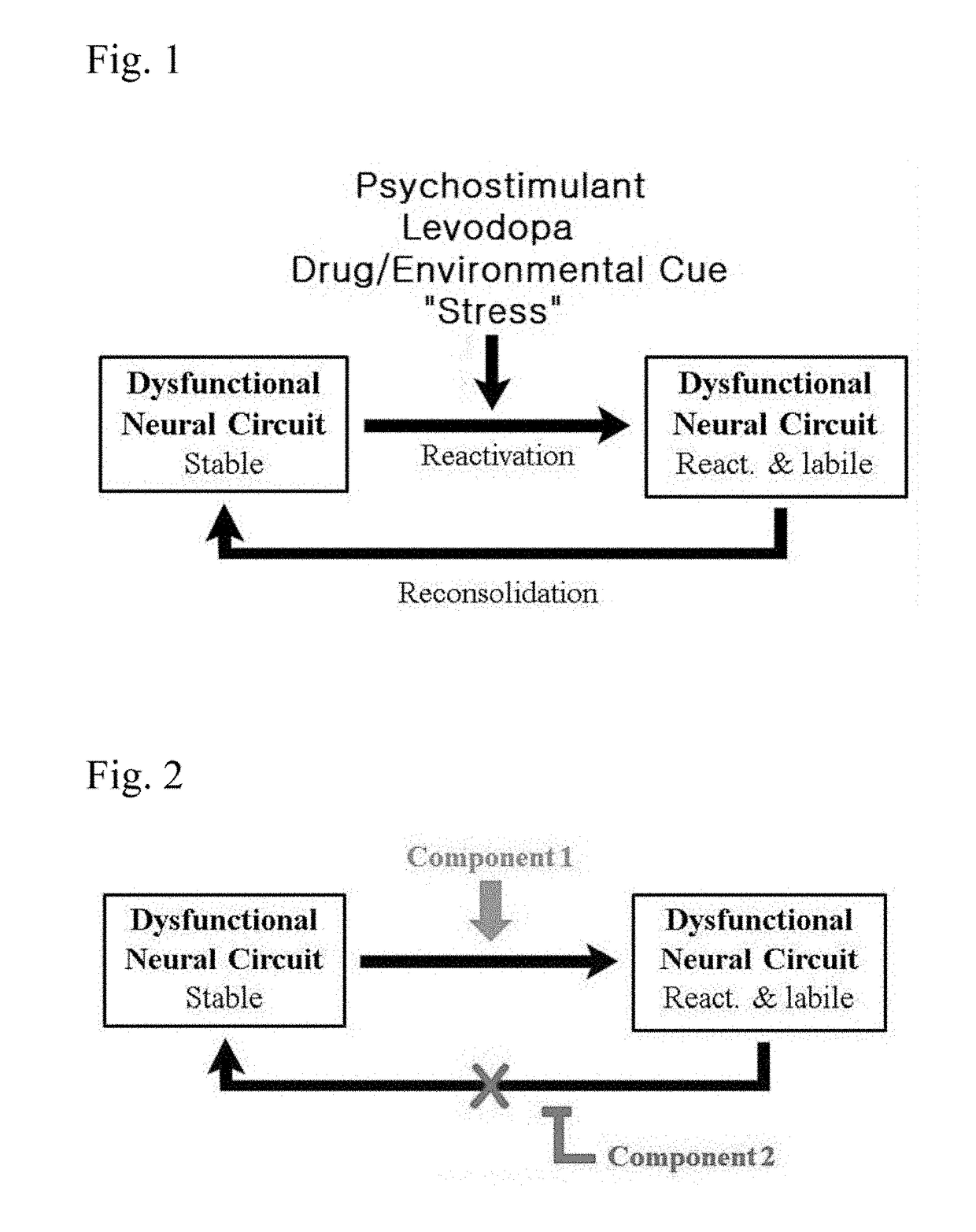 Composition and method for treatment of neuropsychiatric disorders