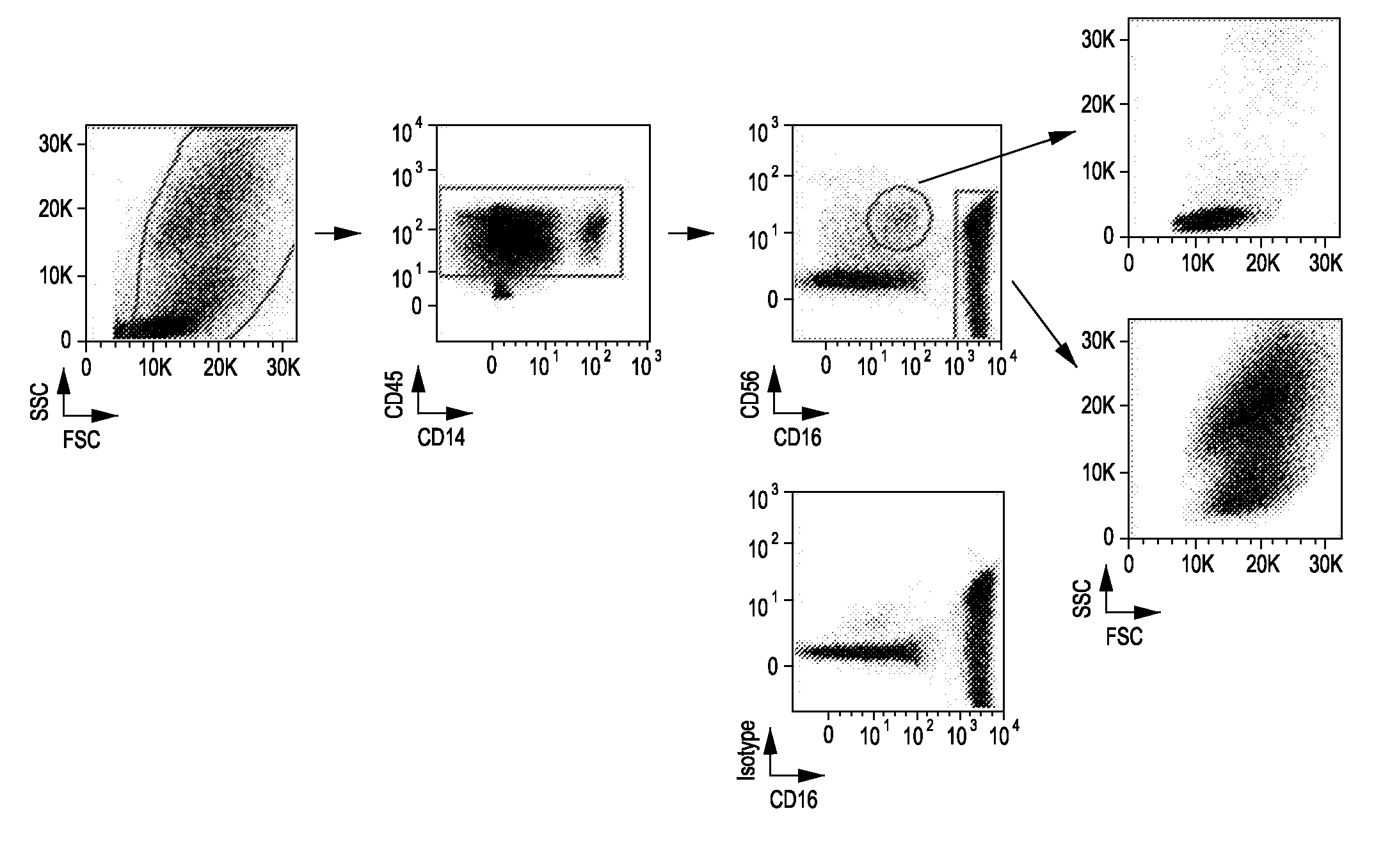 Blood transcriptional signature of active versus latent mycobacterium tuberculosis infection